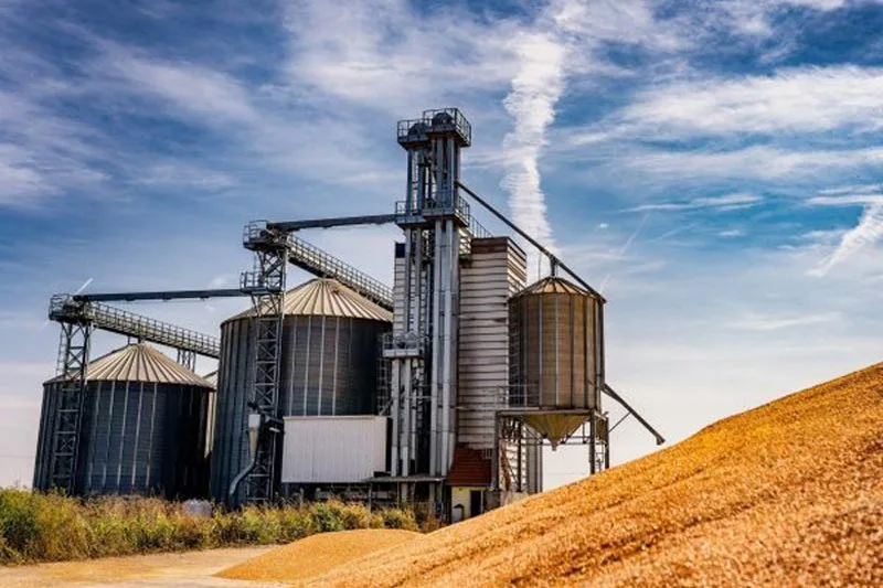 Tarım Alanı